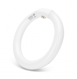 Aigostar Circolina Fluorescente T9 22W Luce Fredda 6500K G10q Ø 210mm