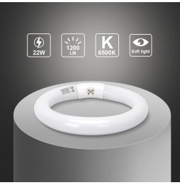 Aigostar Circolina Fluorescente T9 22W Luce Fredda 6500K G10q Ø 210mm