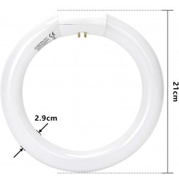 Aigostar Circolina Fluorescente T9 22W Luce Fredda 6500K G10q Ø 210mm