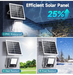 Aigostar Faro LED Solare 50W 500lm IP66 Luce Fredda 6500K Policristallino