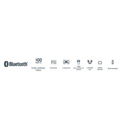 Thomson WS602DUO Sistema Multimediale Casse Scaffale Bluetooth 100W Legno