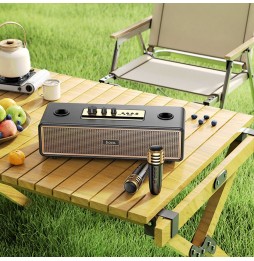 Hoco BS63 Cassa Party Portatile Bluetooth® Mp3 Karaoke Usb Aux Fm 2 Microfoni