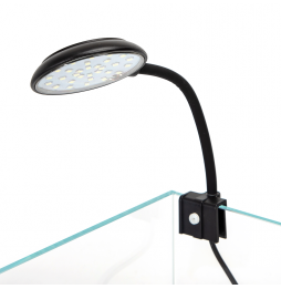 Nobleza Nano Acquario 10L Vetro Extra Chiaro Filtro 250L/h Luce LED 1.5W