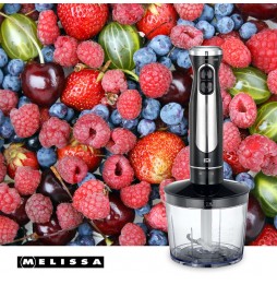 Melissa Set Frullatore Immersione 600W 3in1 Tritatutto Frusta Misurino Inox Nero