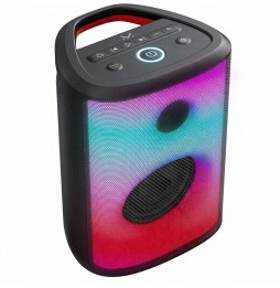 Majestic FLAME 22 PRO Speaker Bluetooth 300W con Luci LED Batteria 4000mAh Ingressi USB MIC AUX IPX5