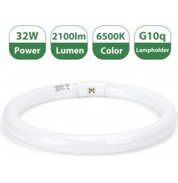 Aigostar Circolina Fluorescente T9 32W G10q 6500K Luce Fredda 2100lm